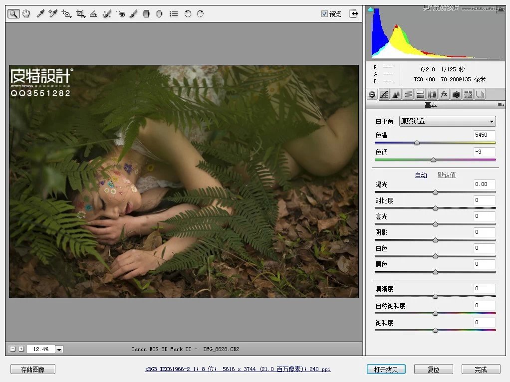 Photoshop调出唯美森林中性色美女图片
