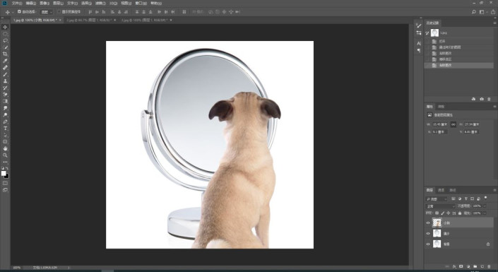 创意合成，合成一种小狗照镜子的创意场景