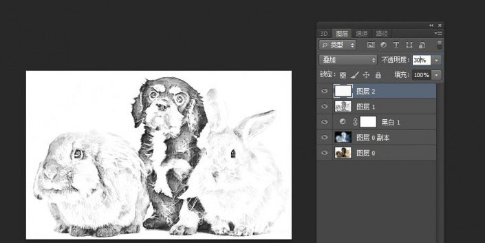 素描效果，快速把动物图片转成素描效果