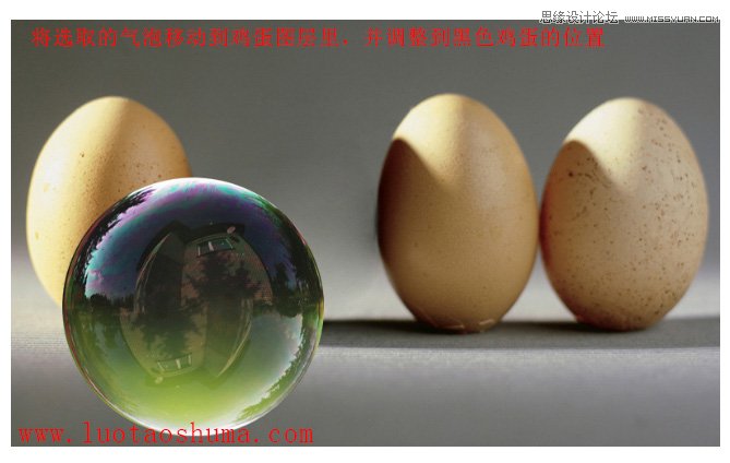 Photoshop打造透明形态的鸡蛋创意合成教程