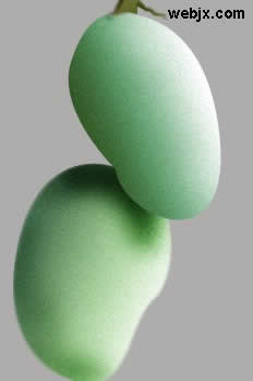用Photoshop轻松绘制一串甜美可口的绿色芒果