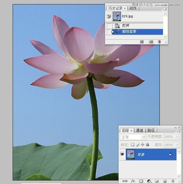 Photoshop合成色彩艳丽的荷花图,PS教程,16xx8.com教程网