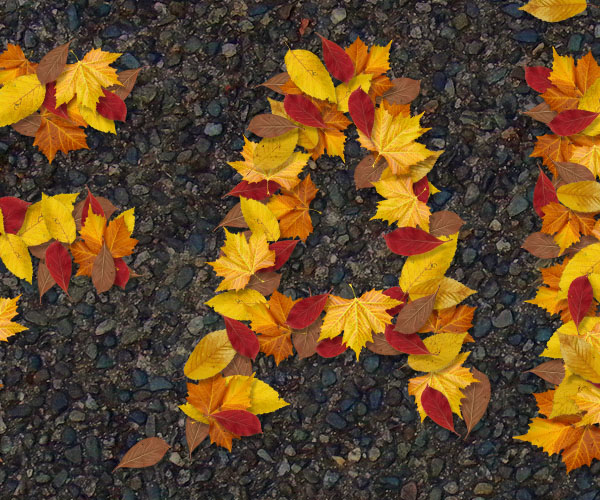 树叶字，教你制作秋天气息的叶子文字