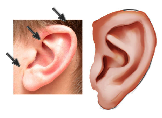 耳朵教程，大师教你画耳朵