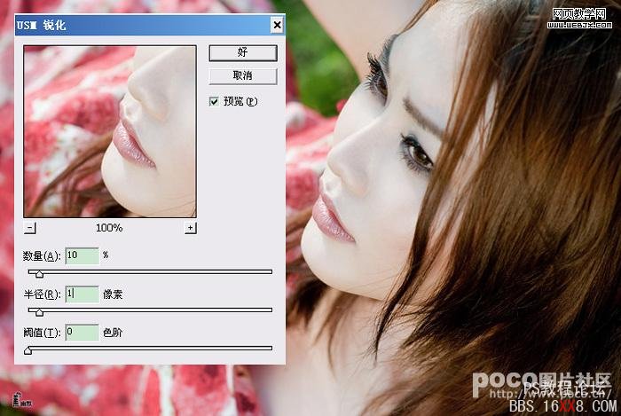 Photoshop照片教程:USM锐化的详细讲解_网页教学网