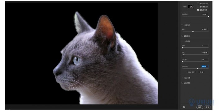 创意合成，PS软件制作长有猫头的猫头鹰图片合成教程