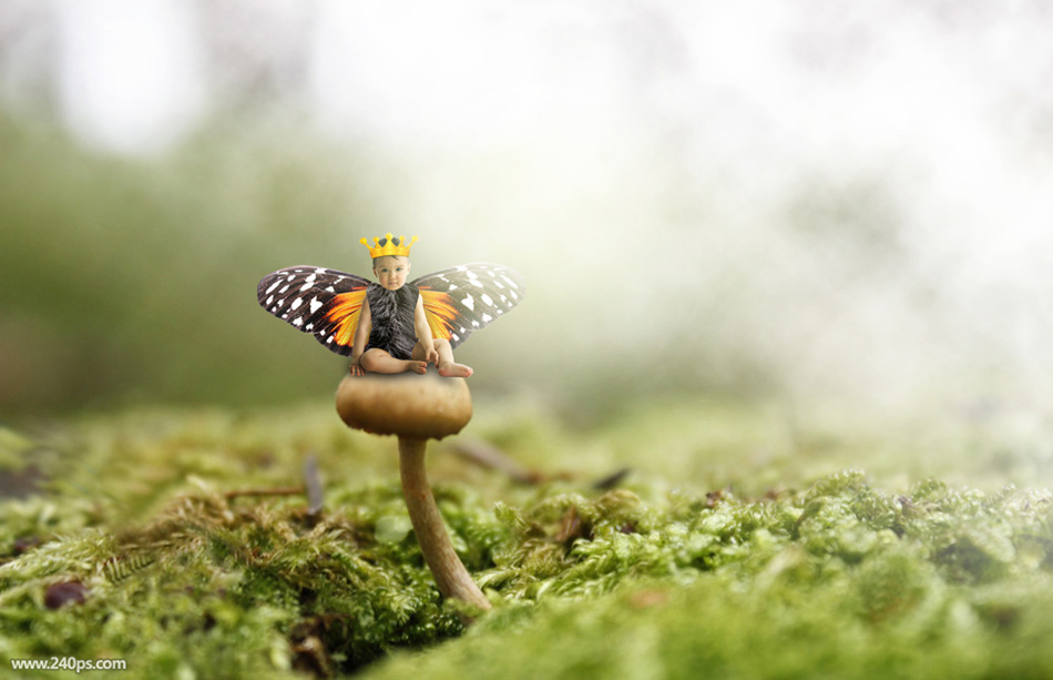 photoshop合成坐在蘑菇上的小天使场景