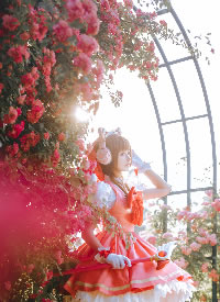 玫瑰花園里的魔卡少女櫻cos圖片