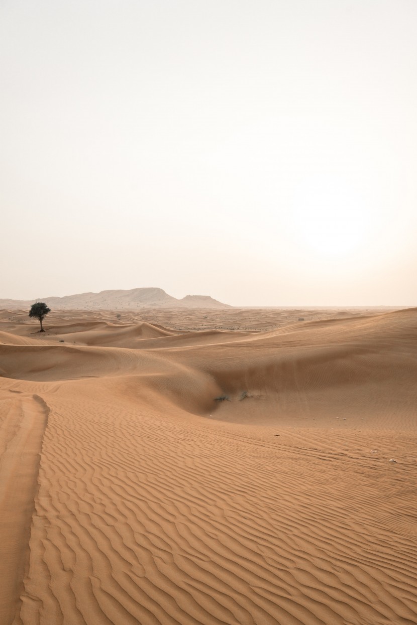 荒无人烟的沙漠风景图片