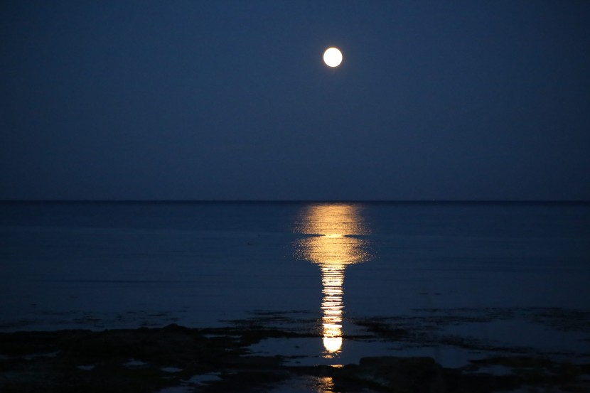 皎洁的海上明月图片
