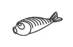 怎么畫魚簡單又漂亮 魚簡筆畫畫法