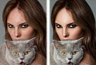 Photoshop給手抱貓咪的高貴美女性感照片進行磨皮-高清人像磨皮