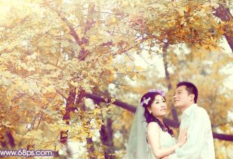 PS調出金秋時節的樹林婚紗照片色彩