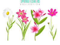 4款創意春季花卉矢量素材