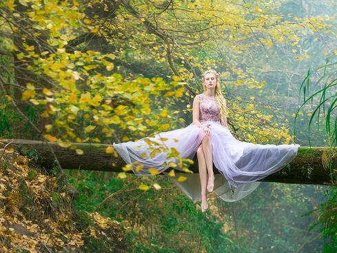 《秋天的童話》深秋森林唯美攝影作品
