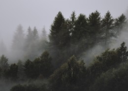 山间薄雾风景图片(25张)