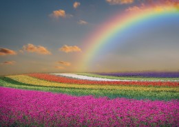 天空中炫目的彩虹风景图片(37张)
