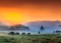 唯美晨雾风景图片(7张)