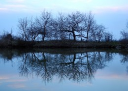 树木在水中的倒影风景图片(9张)