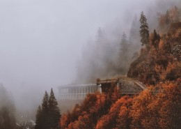 秋天的景色图片(20张)