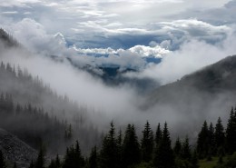 烟雾缭绕的山林图片(16张)