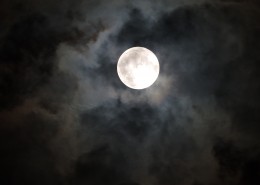 皎洁的月亮图片(14张)