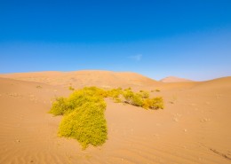 内蒙古巴丹吉林沙漠图片(21张)