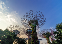 新加坡滨海湾花园风景图片(12张)