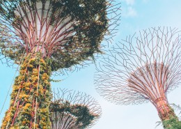 新加坡滨海湾花园风景图片(15张)