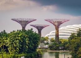 美丽的新加坡滨海湾花园图片(23张)