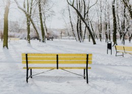 公园里的雪景图片(19张)