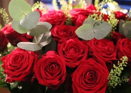 好看的红玫瑰花图片(14张)