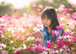花丛中的小女孩儿图片(16张)
