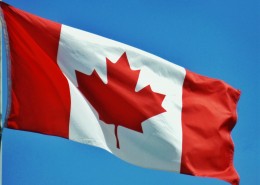 加拿大红色枫叶国旗图片(19张)