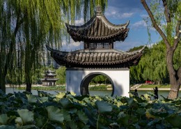 北京陶然亭公园风景图片(9张)