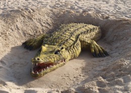 恐怖冷血鳄鱼图片(13张)