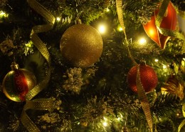 挂满礼物的圣诞树图片(16张)