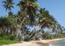 斯里兰卡风景图片(22张)