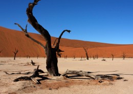 非洲纳米比亚沙漠风景图片(19张)