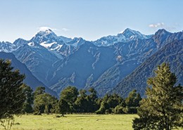 新西兰韦斯特兰国家公园风景图片(12张)