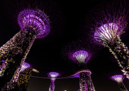 新加坡华丽的建筑风景图片(39张)