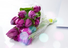 一束美丽的紫色郁金香图片(15张)