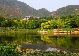 北京植物园风景图片(11张)