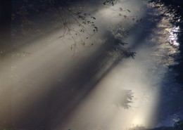 白色蒸腾的雾风景图片(18张)