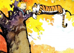 漫画《Calvin Hobbes》图片(11张)