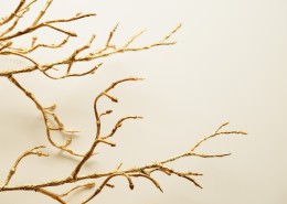 金色的树枝素材图片(8张)