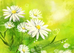 绿色韩国花朵背景图片(6张)