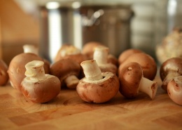 美味可食用的蘑菇图片(21张)