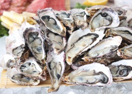 肉质肥美的牡蛎图片(12张)