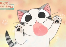 超级小萌猫起司猫图片(22张)